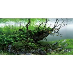 AWERT 30x18 inches Branches Fish Tank Background Seaweed Aquarium Background River Bed & Lake Aquarium Background Vinyl Background