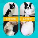 TroisAmis Thick Pet Glove Wipes for Dog & Cat Unscented, Cleaning & Deodorizing Grooming Gloves Wipes, No-Rinse Grooming Wipe for Daily Care and Travel, Ears Face Paws Butt Clean,Hypoallergenic&Gentle