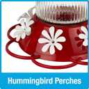 Nature's Way Hanging Glass Hummingbird Feeder for Outdoor Dcor, 28 Ounce Capacity Nectar Feeder, Ant Moat, 7 Easy to Clean Flexible Ports, Red