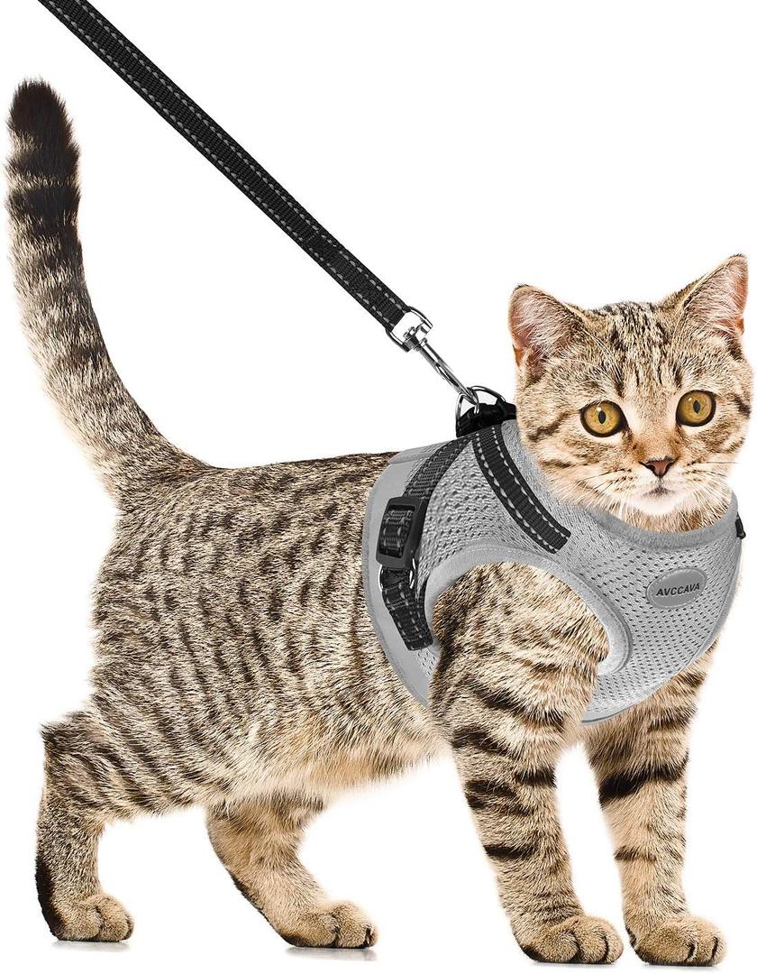 Cat Harness and Leash for Walking, Kitten Escape Proof Harnesses, Adjustable Reflective Puppy Harness with Leashes Set, Easy Adjustable Soft net Breathable Pet Safety Vest Grey (S (Chest: 9" - 11"))