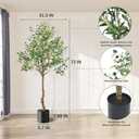 ANTING Artificial Olive Tree, 6FT Tall Faux Olive Tree with Pot, 72in Indoor Silk Plant with Realistic Trunk, 1150 Leaves and Lifelike 44 Fruits for Home Office Decor Outdoor (1pack)
