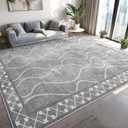 Area Rugs 6x9 Washable Rug, Non-Slip Rugs for Living Room, Low Pile Bordered Rugs Alfombras, Large Print Rubber Backing Indoor Carpet for Home Decor Bedroom Nursery Dining Room, Light Grey