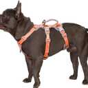 Huntboo Escape Proof Dog Harness, Escape Artist Harness, Fully Reflective Harness with Padded Handle, Breathable, Durable, Adjustable Vest for Small Dogs Walking, Training, and Running Gear (Orange,S) (Small(Pack of 1))