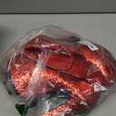 Rubies Secret Wishes Women's Wizard of Oz Ruby Slippers, Medium