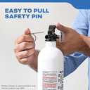 Kidde Fire Extinguisher for Boats, Single-Use 1A10BC