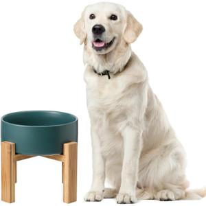 Elevated Ceramic Large Dog Bowl - Raised Dog Dish with Bamboo Stand - Heavy Weighted, No Tip Over, Comfortable Eating - 8.4" Diameter - 4.5 Cups - 68 fl oz - Green