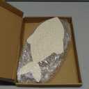 Anglechic 12 Pack 12 Inch Fish Craft Blank Fish Cutout Unfinished Wood Fishes Slices Wooden Fishes for Crafts Shaped Ornaments Door Hanger Decor for Outdoor Home House Wall Decor