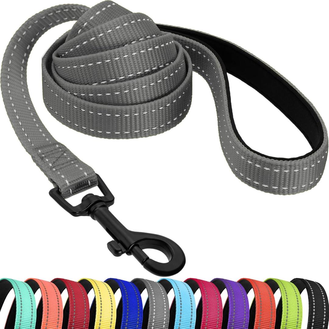 CollarDirect Nylon Dog Leash 5ft for Daily Outdoor Walking Running Training Heavy Duty Reflective Pet Leashes for Large, Medium & Small Dogs (Grey, Medium)