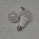 LED 100W Daylight A19 Light Bulb, 2 Pk