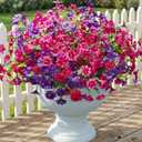 Artificial Flowers Fake Plants for Outdoors Decoration, 12 Bundles Silk Morning Glory with Eucalyptus Realistic UV Resistant Faux Flowers for Outside Planter Porch Yard Patio Garden Home Indoor, Mix