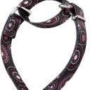 Martingale Dog Collars Colourful Oil Painting Pattern Series - No Pull Pet Collar Silky Soft for Medium and Large Dogs (Large, 1 Inch Wide, Firework Dots -Black)