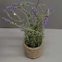 Lavender Small Fake Plant Lavender Artificial Flowers in Pots Decorative Plant for Bathroom Kitchen Bedroom Farmhouse Shelves Desk Office Decor (Purple - 14.2")