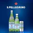 S.Pellegrino Sparkling Natural Mineral Water, Plastic Bottles, 16.9 Fl Oz (Pack of 12) (EXP 08/04/26)