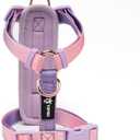 TSPRO Lightweight Dog Vest Harness Adjustable Harness Breathable Durable Quick Release Dog Harness for Medium Dog Walking (Pink-Purple Gradient, Size 2)