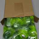 24 Pcs Lime Green Christmas Ornaments 2.36 Inch DIY Flat Ball Christmas Ornaments with Furry Hair Glitter Plastic Xmas Baubles with 2 Pcs Dry Erase Markers for Xmas Tree Craft Home Decor