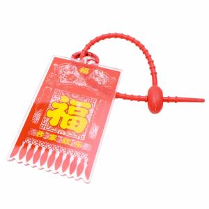 3 x TurnSun Key Chain Chinese Fengshui Keychains Tianjin Good Luck Key Ring for Wealth Good Fortune Health, New Year Christmas gifts (Full of blessings)