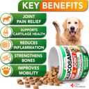 Advanced Glucosamine for Dogs - 170 Chews - Senior Hip and Joint Supplement for Dogs - Glucosamine Chondroitin - Dog Joint Health Pain Relief Pills - MSM - Mobility Support Supplement - Made in USA