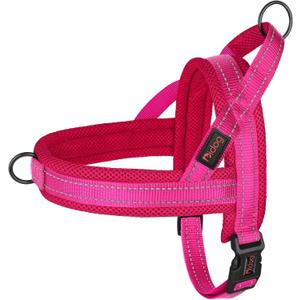 Didog No Pull Dog Harness with Soft Mesh Padded,Reflective & Quick Fit Light Weight Dog Strap Vest Harness,Easy for Walking Training (XS:Chest 15-18", Mesh-Hot Pink)
