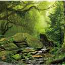 AWERT Tropical Forest Terrarium Background Stream Green Huge Tree Reptile Habitat Background Foggy Rainforest Aquarium Background 36x20 inches Durable Polyester Background