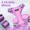 rabbitgoo Cat Harness and Leash Set, Escape Proof Soft Adjustable Vest Harnesses for Outdoor Walking, Easy Control Breathable Kitten Jacket with Reflective Strips, Pink & Purple, XS