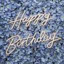 Happy Birthday Neon Sign,Innovative Integral Forming Process,With Dimmable Switch For All Holiday Party and Home Decoration,Total Length 40Inch, Colorful