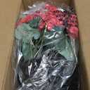 GLIDLION 2 Set Artificial Geraniums Flowers with Hanging Baskets for Outdoors - Sun Resistant Silk with Geranium Flowers, Fake Hanging Planters for Front Porch Garden Patio Home Decor (Red)