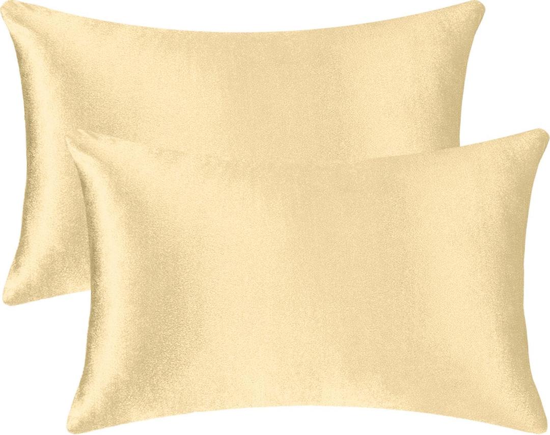 2 Pack 12x20 Pillow Cover Velvet Pillow Covers, Square Throw Pillow Covers for Living Room Decorations Throw Pillow Case, Throw Pillow Cover Cushion Cover for Home Sofa Bedroom Car, Champagne