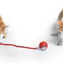 Interactive Cat Toys for Indoor Cats, Automatic Motion Activated Hide and Seek Cat Toy, Fast Rolling Ball in Cat Play Mat Keeps Cat Engaged (Red)