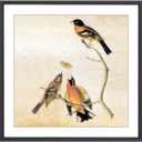 9x9 Picture Frame, Black Metal Square Photo Frames with HD Glass, Fits 8x8 with Mat or 9 x 9 without Mat, Display for Wall and Table, 1 Pack