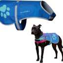 SafetyPUP XD Dog Reflective Vest  Hi-Vis Fluorescent Visibility That Helps to Safeguard Your Pet On/Off Leash in Urban & Rural Areas (Blue, Small)