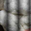 Andency Fluffy Sherpa King Comforter Set, Super Soft White Fleece Warm Bedding for Winter, Luxury Jacquard Boho Thick Fuzzy Plush Bed Set 3 Pieces(1 Shaggy Comforter, 2 Pillowcases)