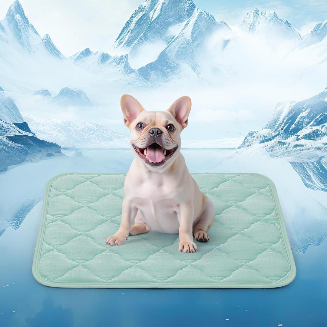 LOOBANI Dog Cooling Mat for Summer, Cooling Mat for Large Dogs with Anti-Slip Bottom, Washable Dog Cooling Pads for Dogs, Cats, Indoor & Outdoor Use, Sofas, Bed, Kennels and Floor (Small (22''x28''), Green)