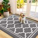 Buganda Indoor Door Mat, Dirt-Resistant and Absorbent Doormat, Anti-Slip, Low Profile Floor Mats for Inside Entryway, Front, and Back Door Entrance (48x32 Inches, Grey)