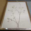 JLTULT Beige Floral Wall Art Set of 3, Solid Wood Frames, 20 x 30 in Each