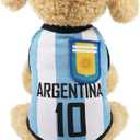GabeFish Dog World Cup T Shirt Pets Football Jersey Sports Soccer National Team Vest Cat Summer Cool Clothes Apparel Argentina 4X-Large