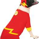 DC Comics Superheroes: The Flash Pet Costume for For Dogs or Cats by Rubies, XL