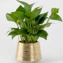 Indoor Plant Pot Flower Holder Ceramic Houseplant Pots Gold Shinny 3.5 x 3.7,Plant Pots with Hole (Not Contain Plant)