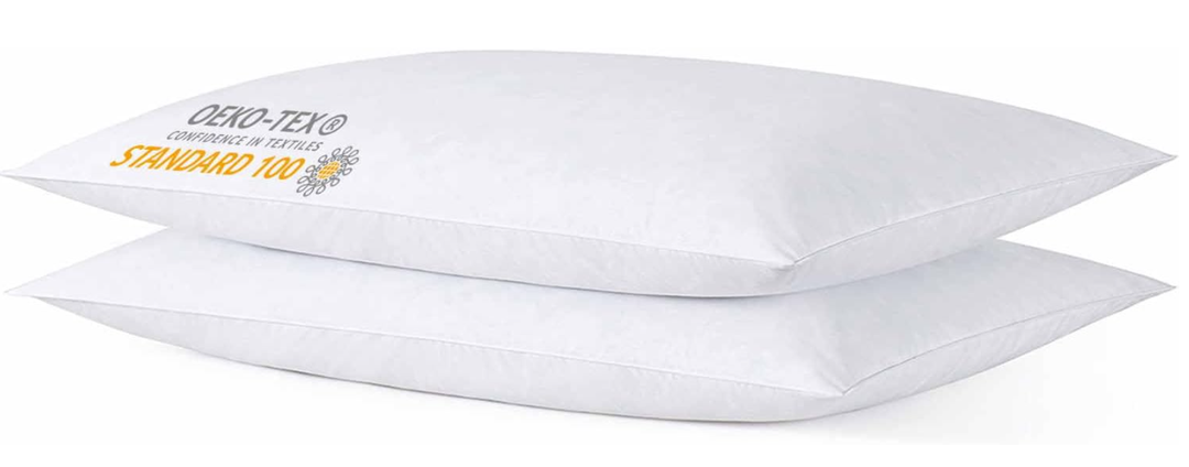 iFaon Thin Flat Slim Ultra Soft Bed Pillows Standard Size Set of 2 Pack for Sleeping, Bed Pillow for Stomach Back and Side Sleepers, Machine Washable 20x26 inches
