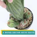 Artificial Cactus Fake Cacti 16" Faux Potted Cactus Plants for Home Store Office Decoration