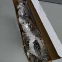 Nuenen 6 Pcs Wet Detangler Hair Brush Travel Dry Hair Brushes Detangling Hairbrush with Soft Bristles for Women Men Girls Boys (Elegent Color)