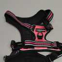 Rabbitgoo Dog Harness Medium Sized, No Pull Dog Vest with 3 Buckles, Adjustable Soft Padded Pet Harness with Easy Control Handle and Reflective Strips, Pink, M