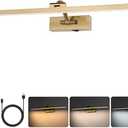 Wireless Picture Lights for Wall Battery Operated, Brass Art Lighting for Paintings Rechargeable Gallery lights with Remote and Timer 3CCT Dimmable Painting Lights for Artwork Portrait 23.6 inch