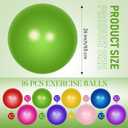 Leyndo 16 Pcs 26 Inch Yoga Exercise Ball Bulk with Pump