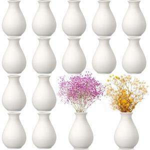 Tioncy 15 Pack White Ceramic Bud Vases Bulk 3.9 Inch Boho Small Flower Ceramic Vases for Centerpieces for Dry Flowers Pampas Garss Home Wedding Table Decor(Classic)