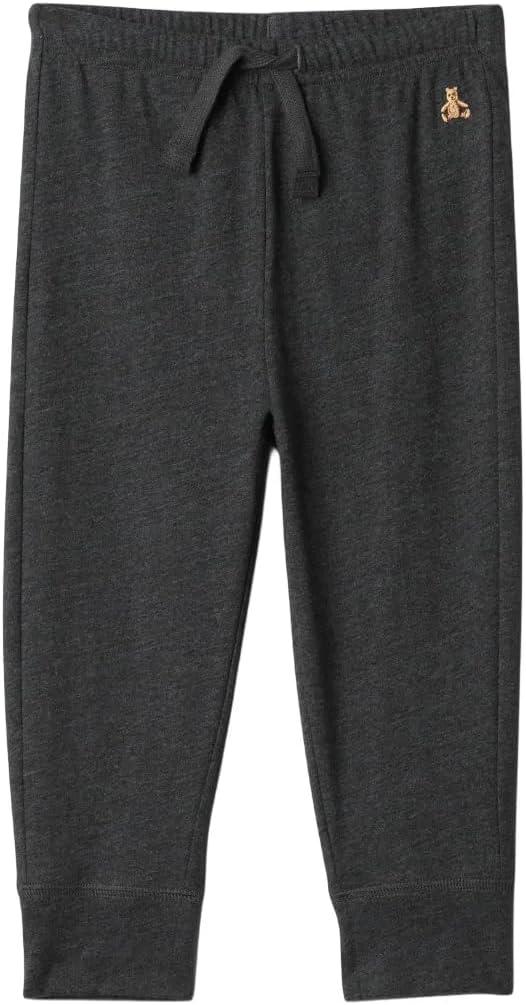 Gap Baby-Boys Pull-on Jogger Pants (5T, Charcoal Hthr Grey)