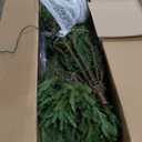 National Tree Company 7.5 ft Pre-Lit Fraser Grande Artificial Christmas Tree, 1,000 Clear Lights, 3,719 Tips, Includes Stand, Green