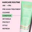 Pacifica Shampoo & Conditioner Set Rosemary Purify Invigorating Set with Cooling Mint for Clarifying and Detoxing, Sulfate-Free, Vegan & Cruelty-Free, 12 oz & 8 oz (Set of 2)