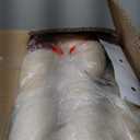 PEQULTI Cat Tree Cat Tower for Indoor Cats with Private Cozy Cat Condo, Natural Sisal Scratching Posts and Plush Pompom for Small Cats,Beige