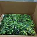 Grooy Artificial Boxwood Panels, Grass Wall Panels 20"x20"(8pcs), Privacy Hedge Fence Screen with UV Protection, Fake Greenery Backdrop for Indoor Wedding and Outdoor Garden Backyard (Dracaena)
