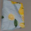Horaldaily Summer Tablecloth 60×84 Inch Oval, Lemon Cat Blue Yellow Green Washable Seasonal Table Cover for Party Picnic Dinner Decor